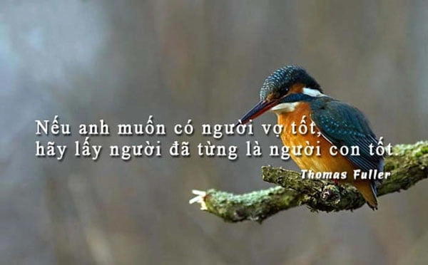 Tổng hợp stt hay về cuộc sống