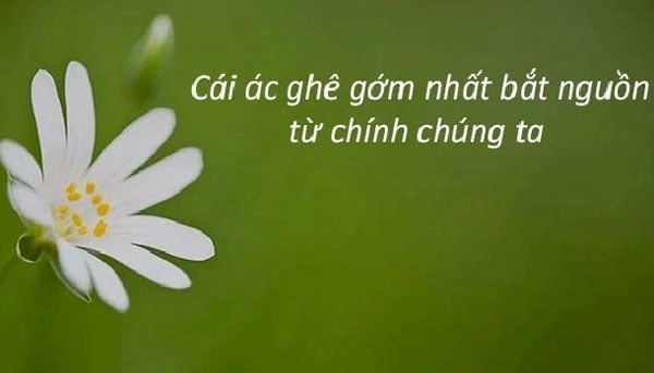 stt hay ngắn gọn về cuộc sống