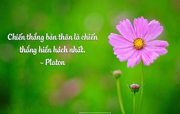 stt-ngan-gon-ve-cuoc-song-9