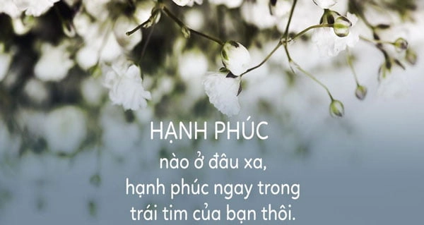 STT hay về tình yêu buồn
