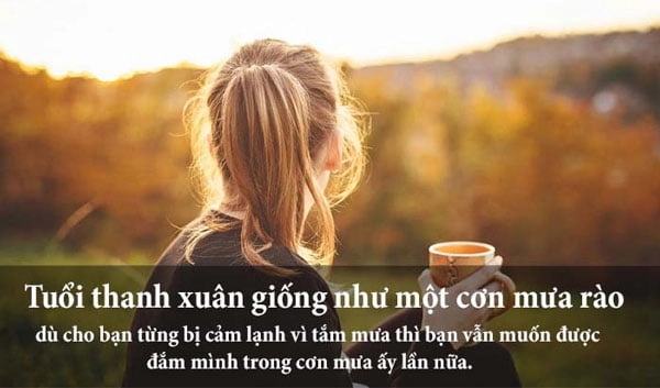 STT hay về tình yêu