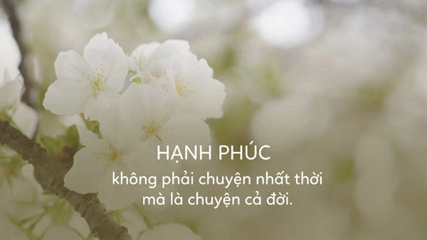 stt hay về tình yêu xa