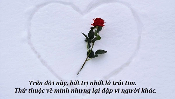 STT ngắn và ý nghĩa