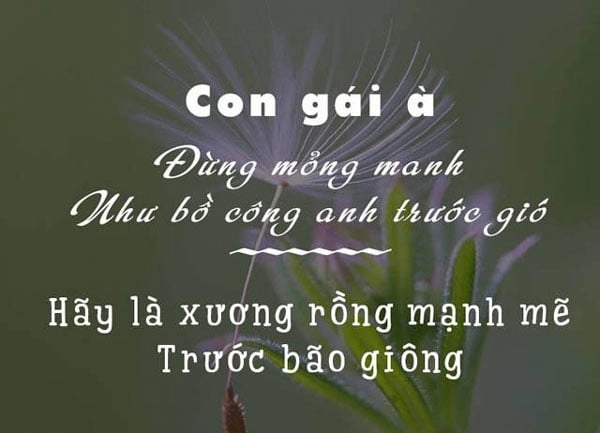 stt tâm trạng bị bỏ rơi