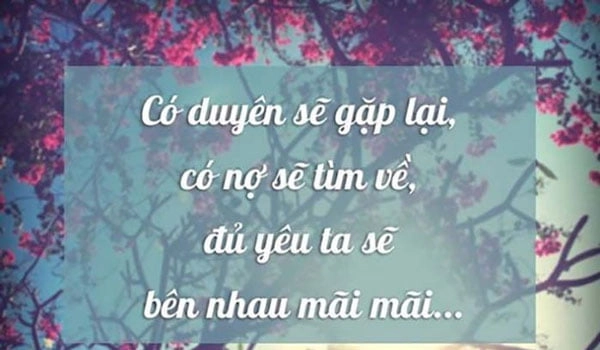 STT tình yêu hay