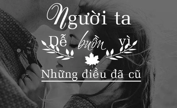 STT hay về tình yêu