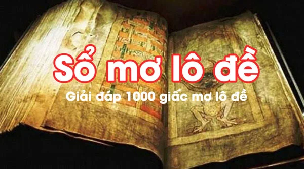 so-mo-lo-de-cac-con-vat
