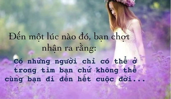 stt tâm trạng bị lừa dối