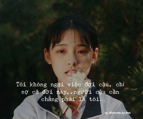 stt-tam-trang-bo-roi-1