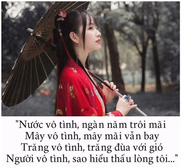 stt-tam-trang-bo-roi