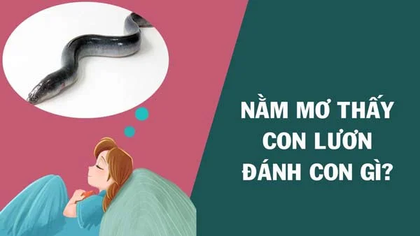 nam-mo-thay-luon-dnh-co-gi