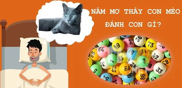 nam-mo-thay-meo