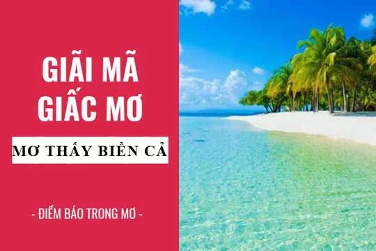 mo-thay-bien-can-danh-con-gi-2