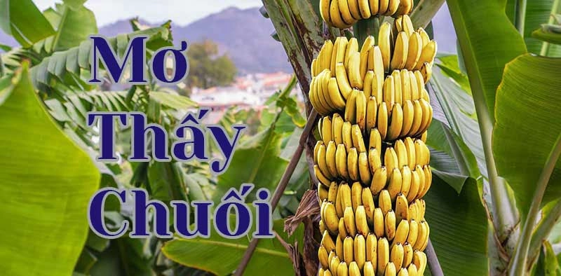 Mơ thấy buồng chuối thì đánh con gì