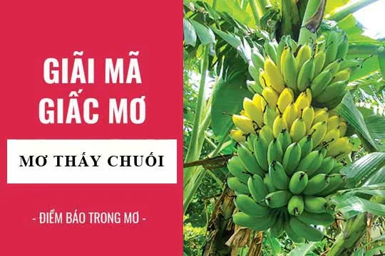 mo-thay-chuoi-buong-chuoi-danh-con-gi