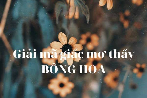 Mơ thấy bông hoa đánh số mấy