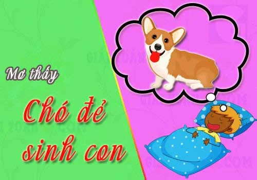 mo-thay-cho-de-danh-con-gi-2