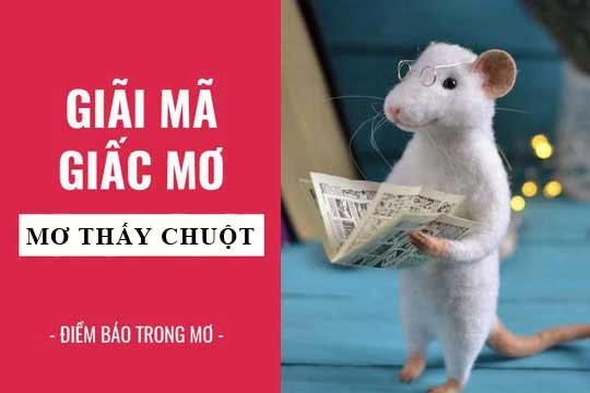 Mơ thấy chuột đánh con nào