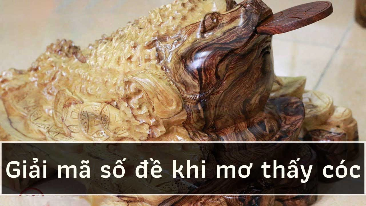 Mơ thấy con cóc đánh số mấy