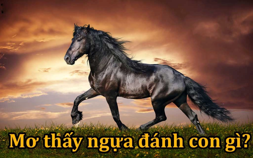 Mơ thấy con ngựa đánh con gì