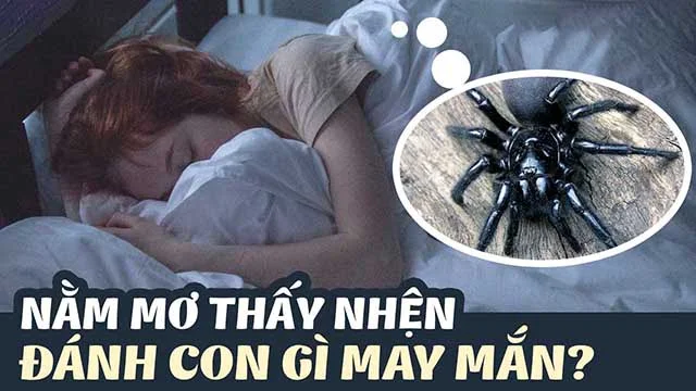 mo-thay-nhen-danh-con-gi-2