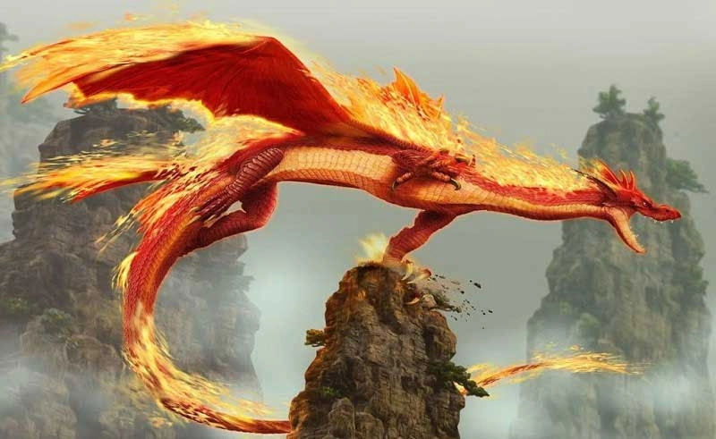 Mơ thấy rồng đánh con gì