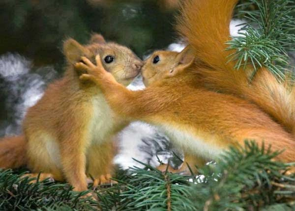 mo-thay-soc-danh-con-gi-4