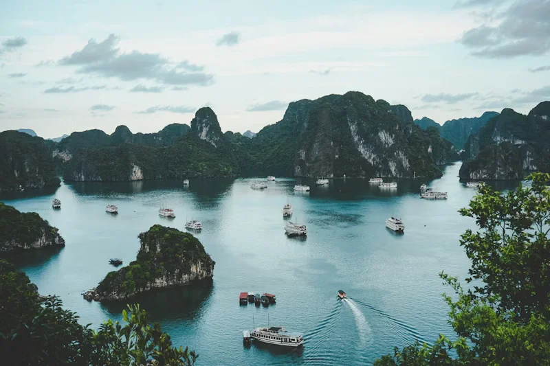 Nghệ Thuật Thưởng Trà Chiều Trên Boong Thượng