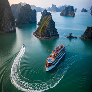 So Sánh Chi Tiết: Tour 2N1Đ, 3N2Đ Hay Tour Ngày 8 Tiếng?