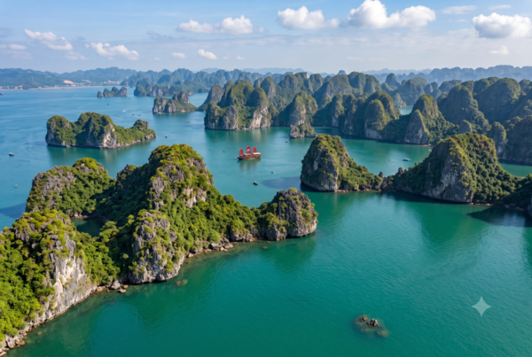 hai-trinh-day-cruise
