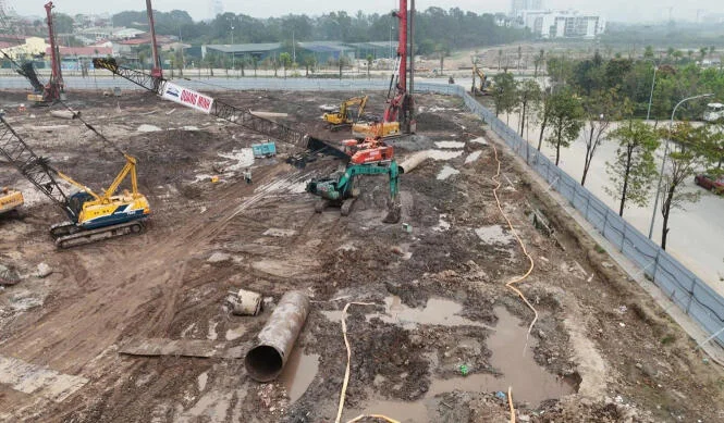 the-flame-vine-hinh-anh-thi-cong