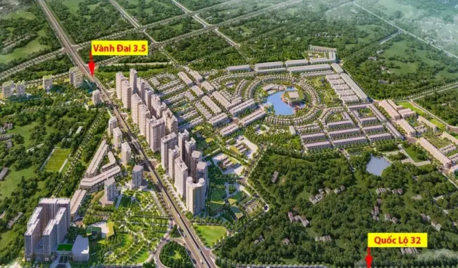 the-flame-vine-vi-tri