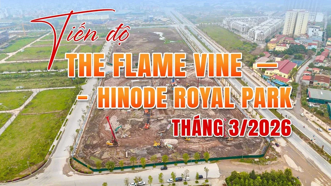 Tiến độ chung cư The Flame Vine tháng 3/2026, Dự án HOT nhất Hoài Đức đang làm tới đâu?