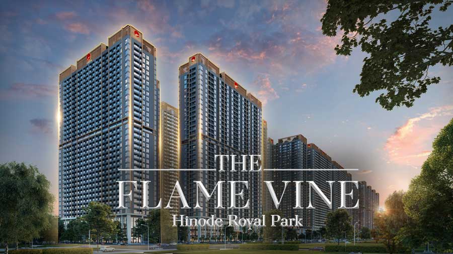 the flame vine_900x506
