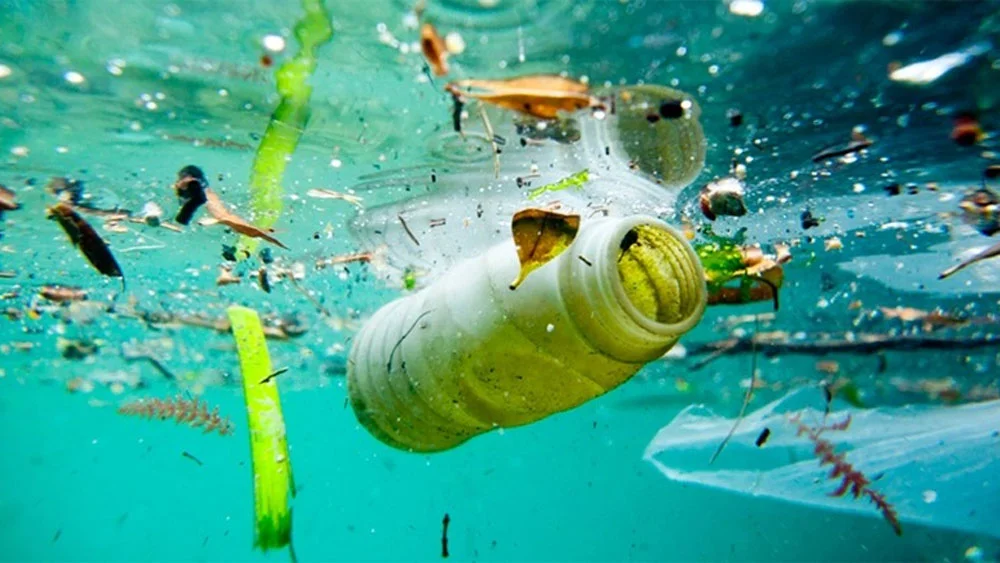 3+ Nguyên nhân gây nước cứng hàng đầu mà bạn nên biết