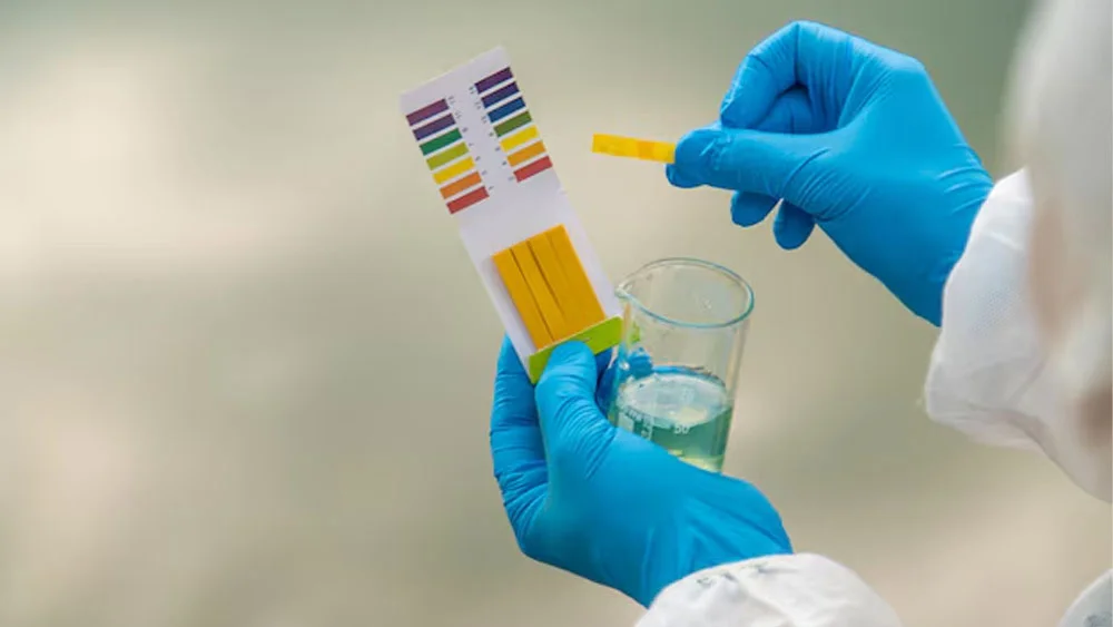 4 cách đo độ pH của nước nhanh chóng, chính xác tại nhà