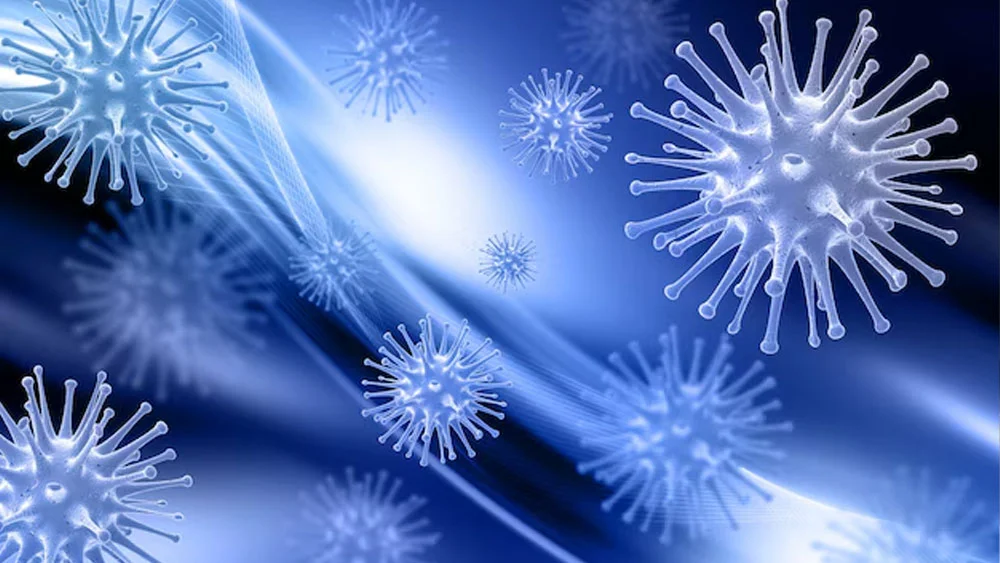 Trực khuẩn mủ xanh trong nước nguy hiểm thế nào?