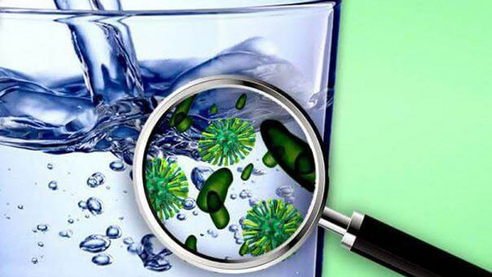 Thực hư tác hại của vi khuẩn Coliform và E.coli trong nước