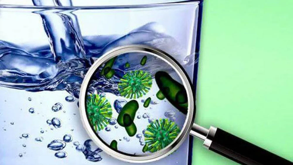 Thực hư tác hại của vi khuẩn Coliform và E.coli trong nước