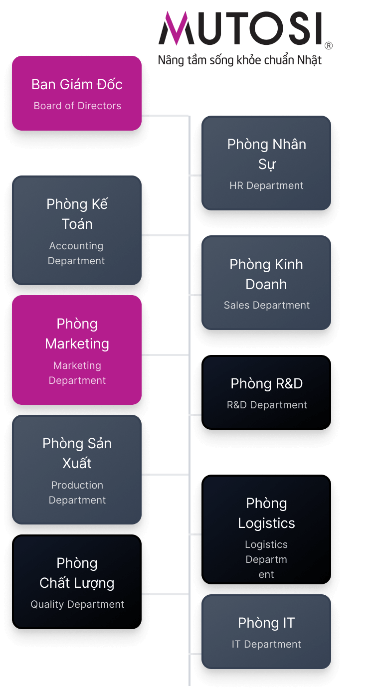 sơ đồ tổ chức