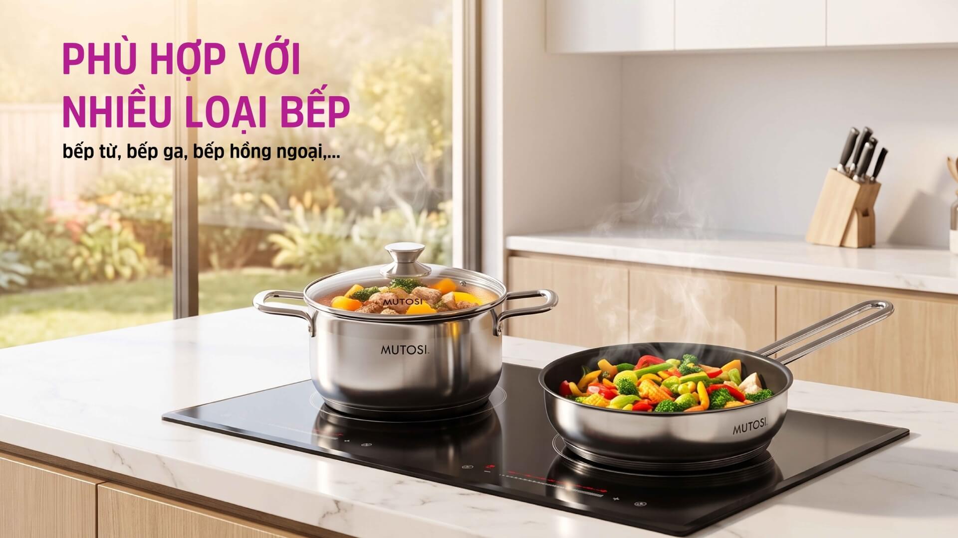 phu-hop-nhieu-loai-bep-mc-d66-05