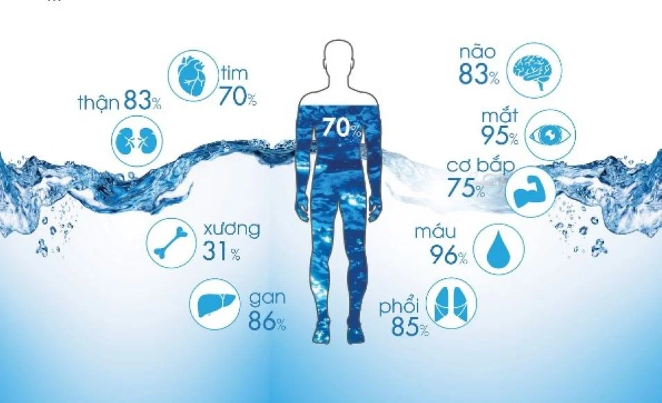 Nước kiềm pH 8 là gì? Khám phá 5+ tác dụng tuyệt vời của nước kiềm pH 8