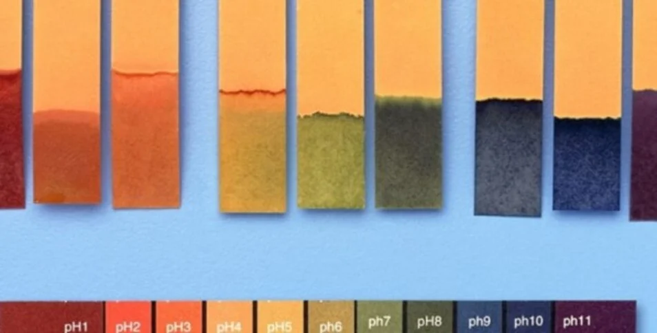 Sử dụng giấy quỳ tím