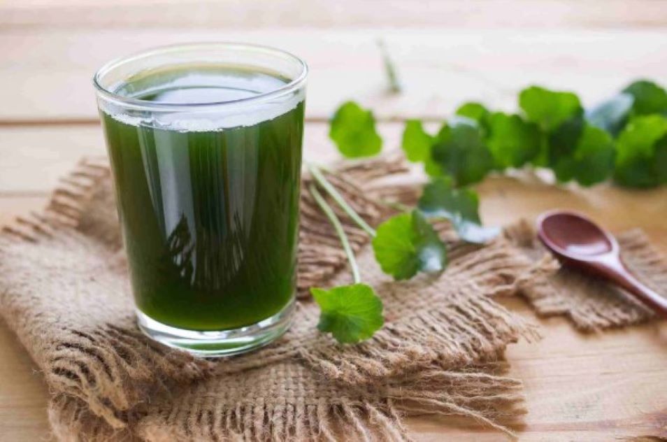 Nước rau má chứa nhiều dưỡng chất tự nhiên