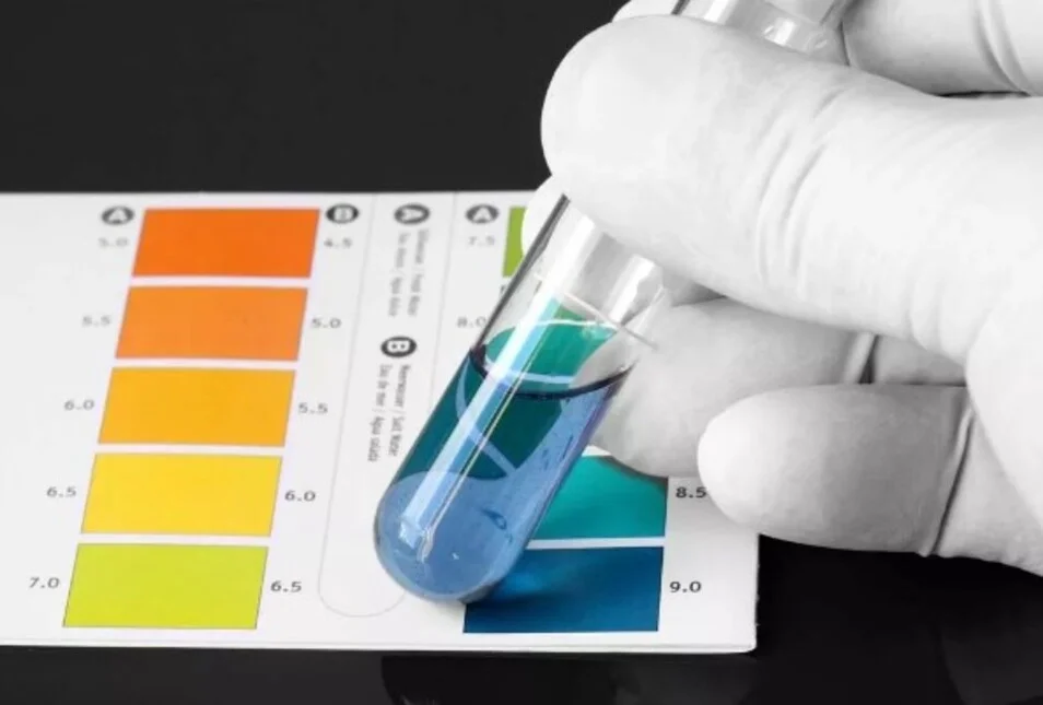 Dung dịch đổi màu như Phenolphtalein, Methyl Red,…