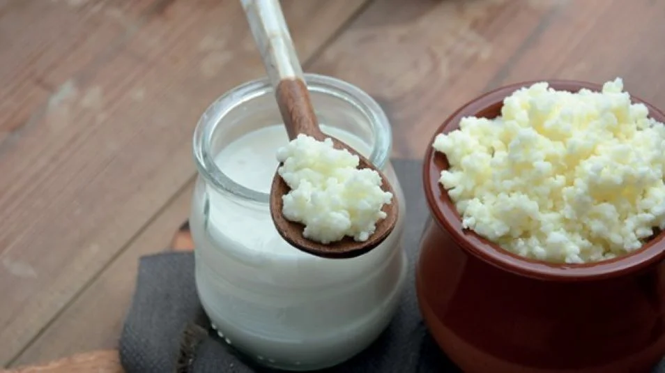 8-nam-sua-kefir-la-thuc-pham-giau-probiotic-hon-sua-chua-thuong