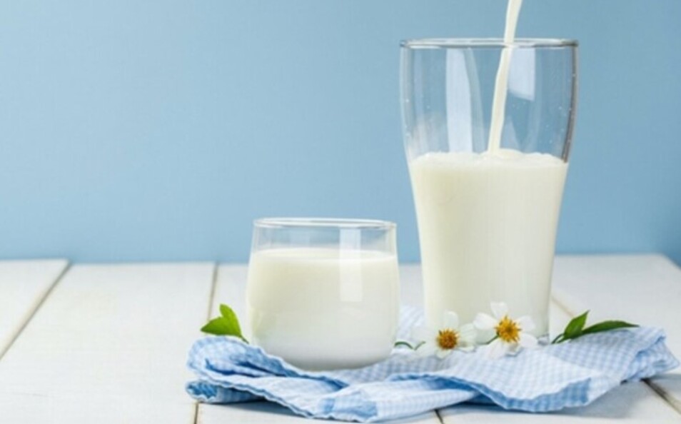 Drinking fresh milk is good for mother and fetus