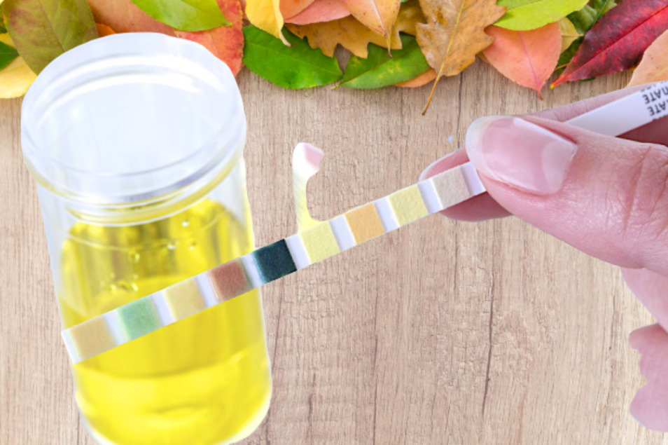 ban-co-the-kiem-tra-do-ph-cua-nuoc-bang-giay-quy-tim-4