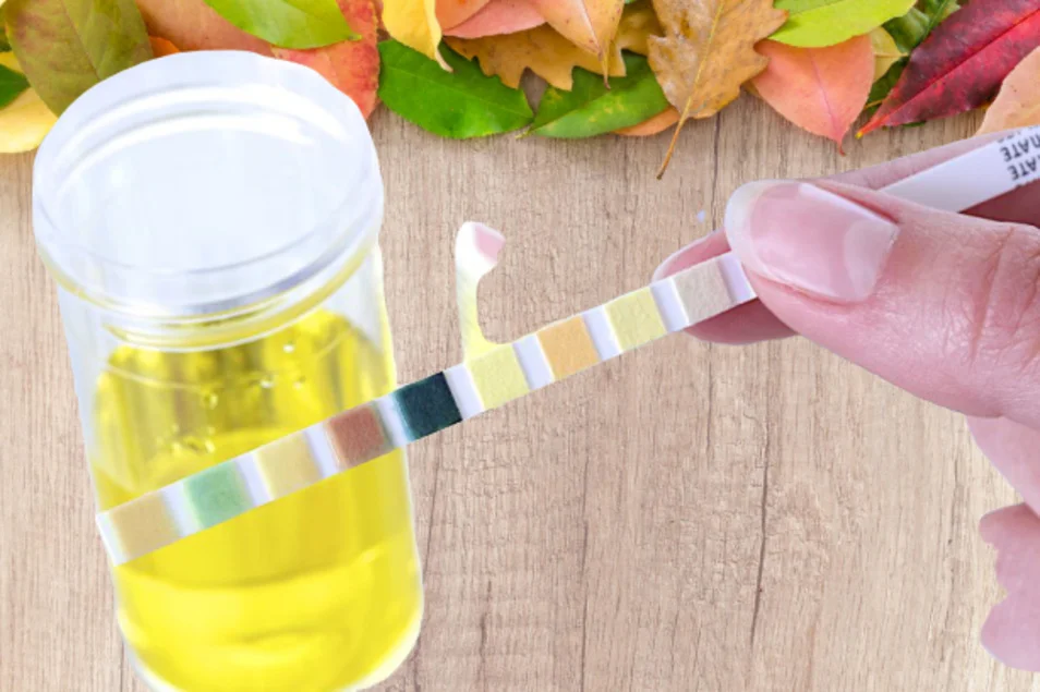 ban-co-the-kiem-tra-do-ph-cua-nuoc-bang-giay-quy-tim-4