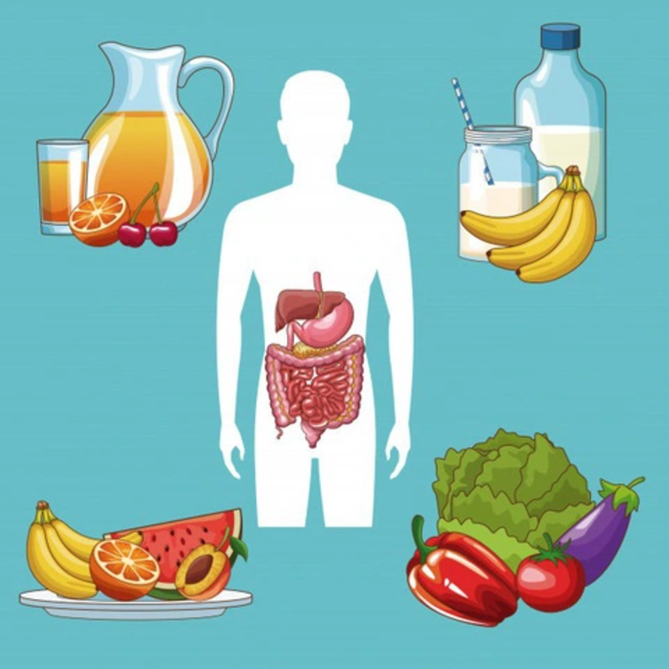 Chế độ ăn uống là một trong những nguyên nhân dẫn đến các vấn đề về tiêu hóa